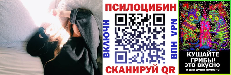 мориарти наркотические препараты  omg вход  Махачкала  даркнет сайт  Псилоцибиновые грибы Magic Shrooms 